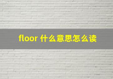 floor 什么意思怎么读